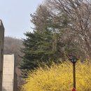 (주)신대원 | 말씀을 깊이 묵상 - 1/1학기 (5)
