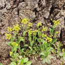 고양누리길 7코스 호수누리길 | 아름다운자연 고양누리길7코스(호수누리길)2026년4월3일