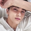 드림MD Daum카페