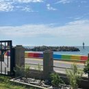 신암 호랑이家 이미지