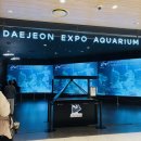 푸른별유치원 | 대전 가볼만한 곳 엑스포 아쿠아리움 대전 데이트