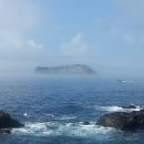 오고생이 이미지