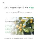 주식회사 비파