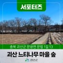 여흥3구사항마을회관 | [SNS서포터즈] 괴산여행 가볼 만한 곳 국가 산림문화자산 2022-7호 문법리 전법마을 느티나무 마을 숲