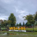 플라워천국 | 🌸 “핑크뮬리+코스모스+장미까지!” 창원 대산플라워랜드 &amp; 주남저수지 맛집 여행코스