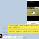 결혼식 청첩장 제작 가성비 포토청첩장 치즈카드 엽서형 제작 후기