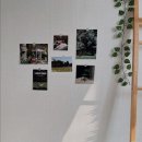 감나무집할배네 이미지