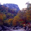 삼방1리 Daum카페