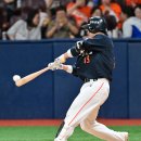 타이밍  포토 이미지