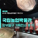 다미농장 | 수원 국립농업박물관 2편: 무료 전시회, 기획전 &#34;앙부일구&#34; 관람 후기 가볼만한 곳
