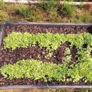 우량농장 이미지