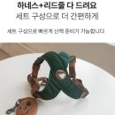 강아지사랑 | 10살 시츄 강아지 편안한 산책을 위해 페틴 강아지 하네스 사랑이 착용 후기