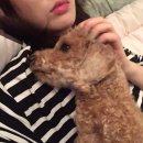 휴독 이미지