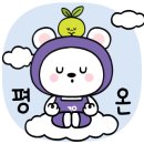 탑건셀프세차장 이미지