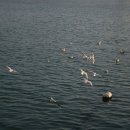 광안테마거리 이미지