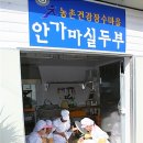 금산홍삼마을 - 금산군 태실길 15 | 금산홍삼마을