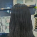 영부티크 이미지