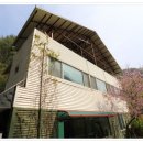 단양펜션구구산장 | 단양펜션 단양구구산장 자연 속에서 찾는 진정한 힐링