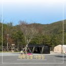 강원도 태백 눈꽃야영장 다녀왔습니다! 사이트 후기와 시설 리뷰 애견동반 캠핑장 추천