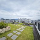 공덕오거리공인중개사사무소 | 🌤️ 하늘 가까이, 여기는 오피스텔이 아니라 전망대예요– 공덕역 5분, 루프탑이 있는 삶