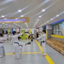 용인대 성민태권도 이미지