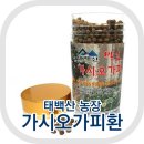 [복용후기] 태백산 발효 가시오가피