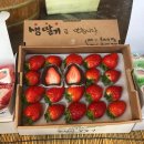 두꺼비 PC 방 이미지