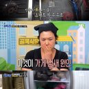 오뚝이백반 이미지