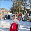 강한아이 태권도장 이미지