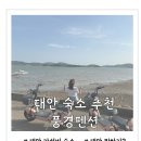 풍경펜션 A동 이미지