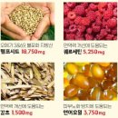제리펫 | 강아지 영양제 추천 제리스타일스 먹여본 솔직 후기