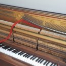 당리동-2 이미지