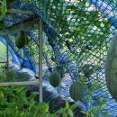 고담농장 이미지