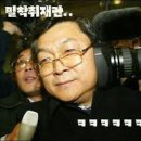 냥스테이 고양이 카페 네이버블로그