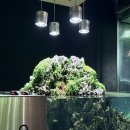 일중로L | 아이랑 실내데이트하기 좋은 일산 대형카페 아쿠아가든