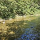 산머루민박 이미지