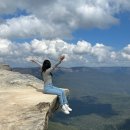 (주)에코비즈넷 | 시드니 블루마운틴 투어 :: 3월 4월 날씨, 옷차림, 시닉월드, 페더데일 동물원