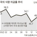 중앙채소 이미지