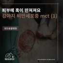 불광동물병원 이미지