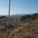 화양읍사무소 이미지