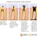 참치과의원 이미지