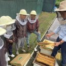 구로-구로-구로-26 이미지