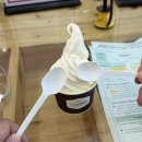 스카이네비 | 충북 단양 당일치기 여행 모노레일 탑승 후기_만천하스카이워크