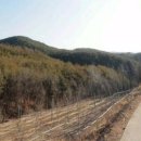 현주공인중개사사무소 이미지