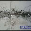 102-운정2-102 이미지