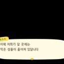 파라다이스D