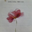 가온세상 이미지