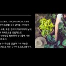 농산물소매 이미지