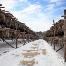 대관령가스 네이버블로그
