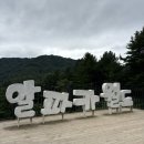 뮤지컬 동화 아트(Art)(A) | 강원도 홍천 알파카월드 여행 코스로 추천해요🦙🌿